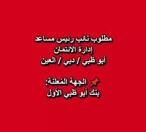 مطلوب نائب رئيس مساعد – إدارة الائتمان – أبو ظبي / دبي / العين