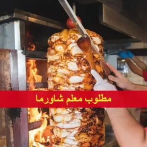 مطلوب معلم شاورما